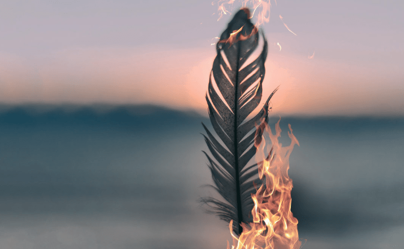 phoenix rising d2slj4