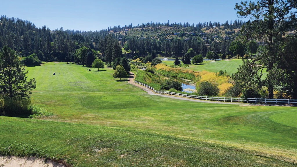 20240715 154245 1024x577 MiZSoQ