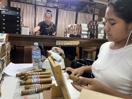 IMG 5229 500x375 qy327d