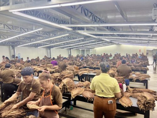 IMG 5334 500x375 kgahHl