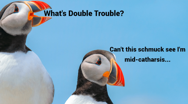 birds double trouble 2Q3rF4