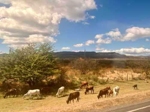 image1 500x375 XUNT5K