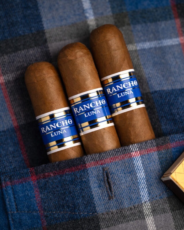 P1204561 819x1024 l7JN0k