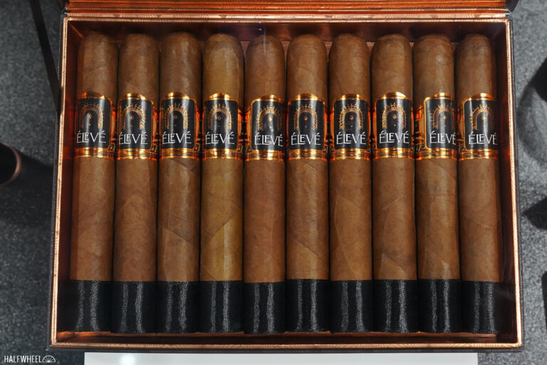 Eleve 768x512 FmgdT6