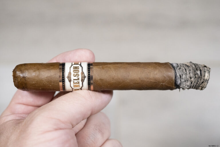 Nelson Ilustre 2 768x512 cz4lGv