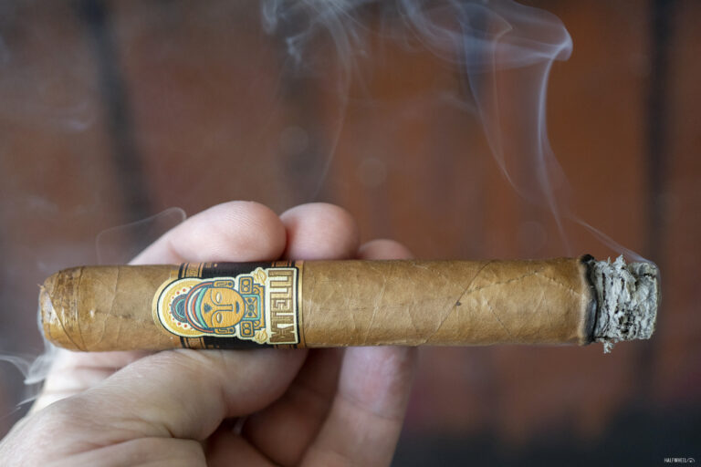 Ixtelli 2 768x512 4lebY7