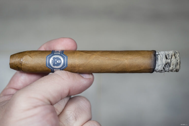 El Oso Blanco 2025 2 768x512 ZSFgid