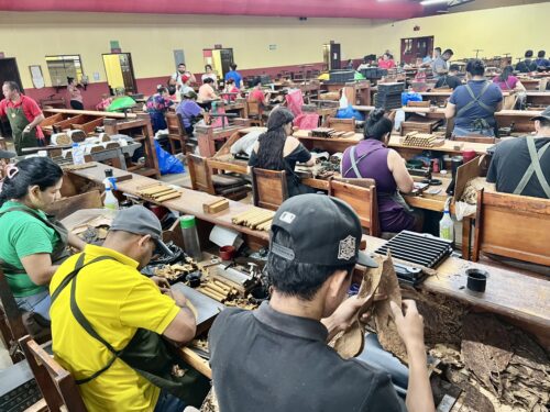 image1 2 500x375 ksQmW8