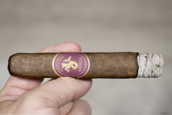 Nereus 2 768x512 iK5mVX