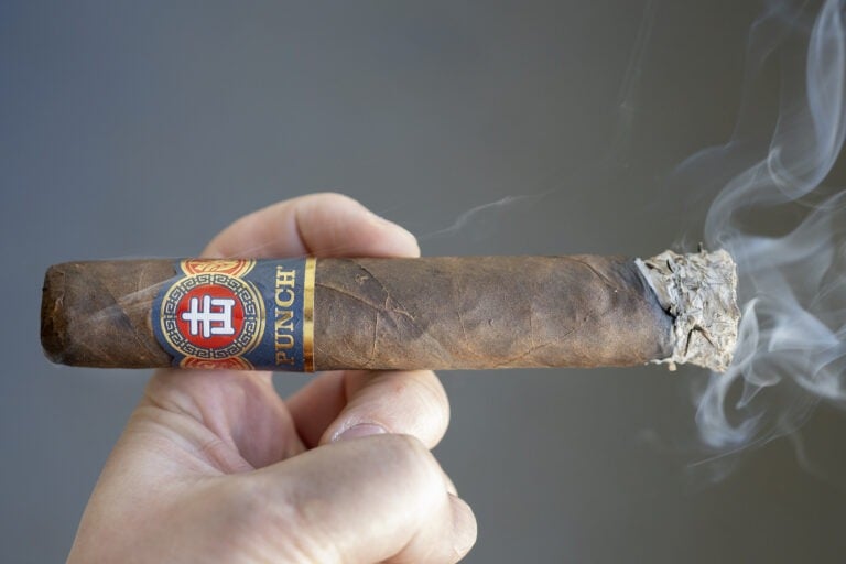 Punch Egg Roll XL 2 768x512 dLplez