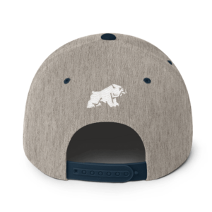 Oxford Cigar Co. Snapback Hat mockup aaaff12b