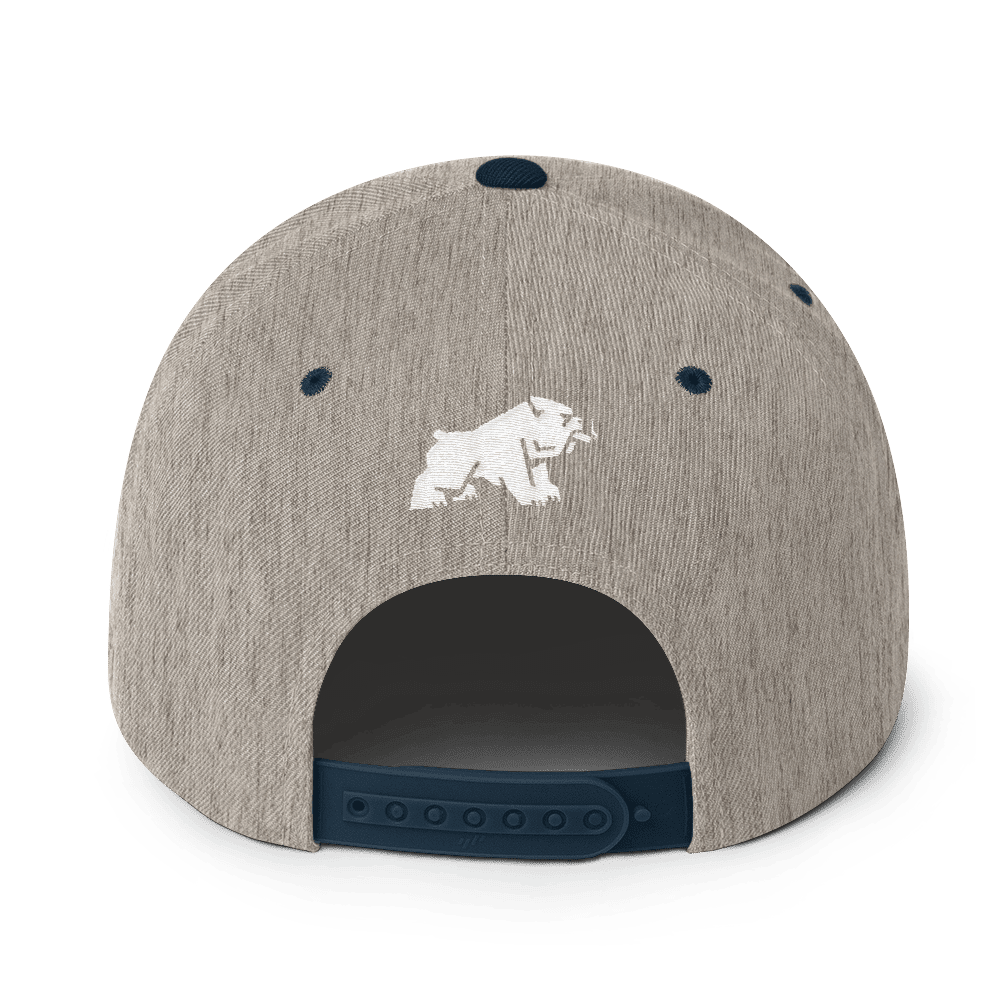 Oxford Cigar Co. Snapback Hat Oxford Cigar Co. Snapback Hat - Image 4