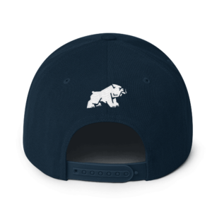 Oxford Cigar Co. Snapback Hat mockup d9d589f7