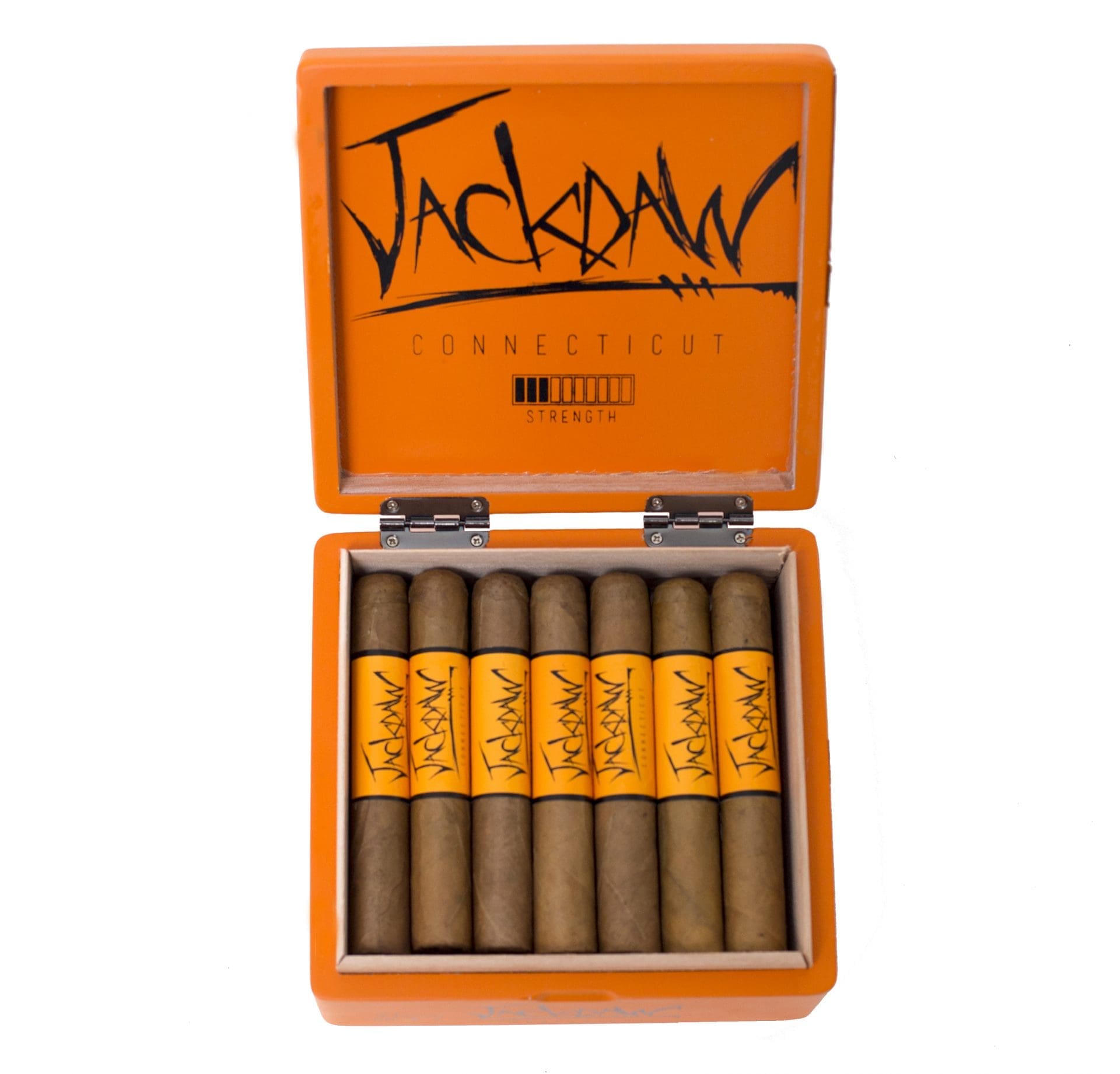 Blackbird Jackdaw Connecticut Blackbird Jackdaw Connecticut