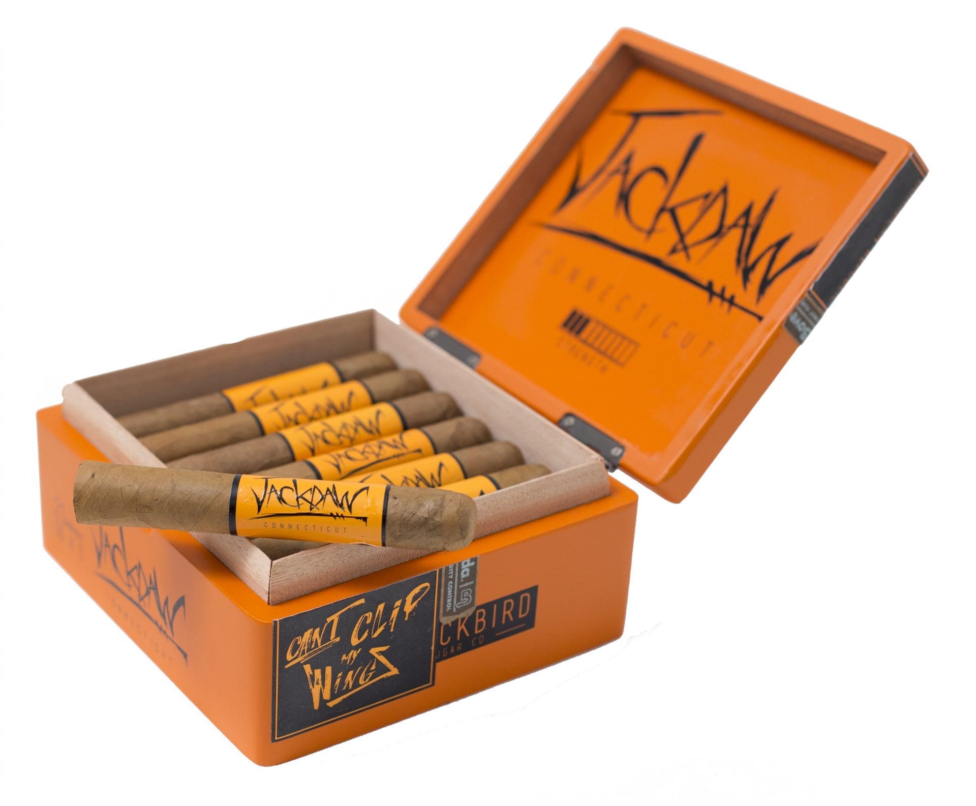 Blackbird Jackdaw Connecticut Blackbird Jackdaw Connecticut - Image 2