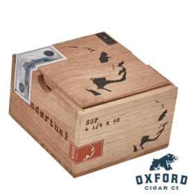 RoMa Craft Neanderthal