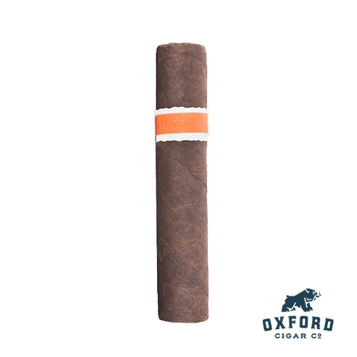 Roma Craft Neanderthal RoMa Craft Neanderthal - Image 2