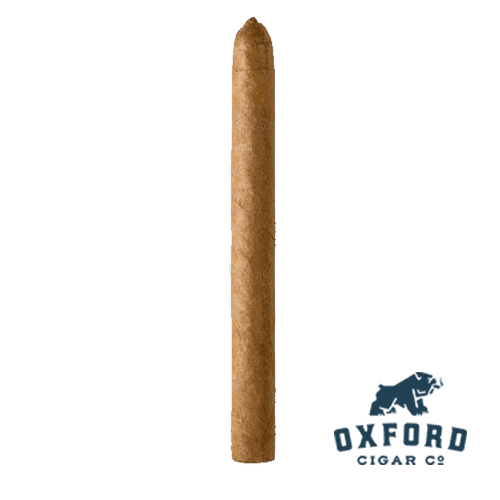 Arturo Fuente Curly Head Natural Arturo Fuente Curly Head Natural - Image 2