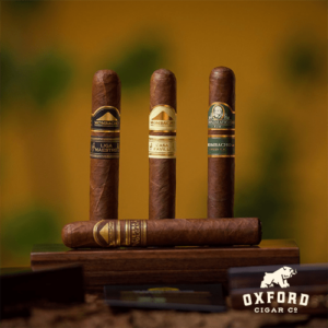 Mombacho Collection Robusto 4Ct Humidor Mombacho Robusto Sampler Sticks