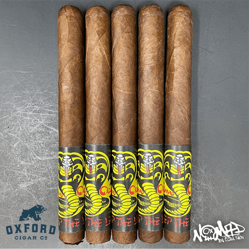 Ezra Zion Sweep The Leg 2021 Ltd. Ezra Zion Sweep The Leg 2021 LTD. - Image 2