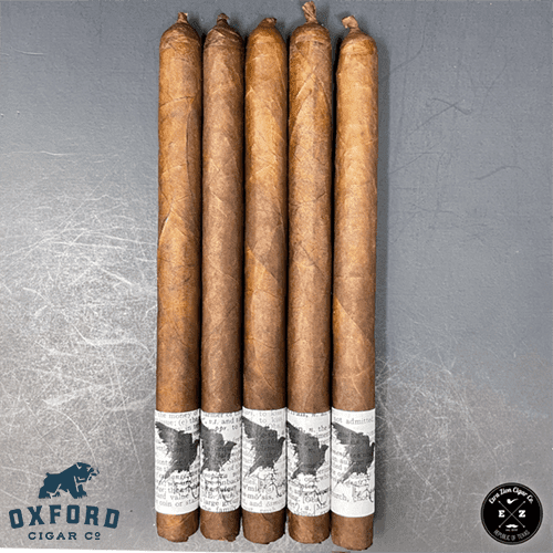 Ezra Zion The Raven Mystiq Ezra Zion The RAVEN MystiQ - Image 2