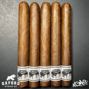 Ezra Zion Chocolate Glazed Donut Ezra Zion Chocolate Glazed Donut Sticks