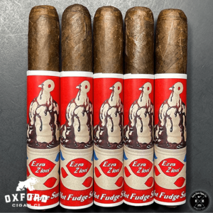 Ezra Zion Hot Fudge Sundae 2021 Ltd. Ezra Zion Hot Fudge Sundae 2021 Ltd. Sticks