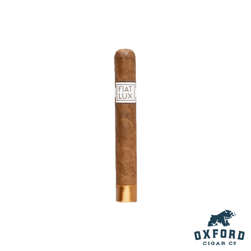 Fiat Lux By Luciano Fiat Lux by Luciano - Image 2