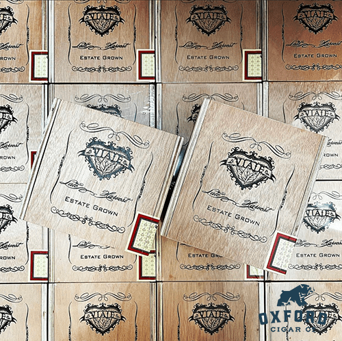 Viaje Holiday Sampler Viaje Holiday Sampler - Image 2