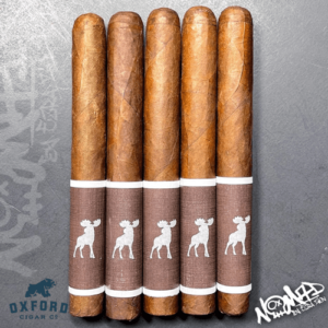 Ezra Zion Chocolate Mousse 55D80100 3F13 43D3 82C5 13DE0F0EC81D