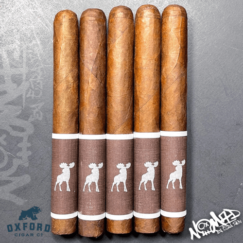 Ezra Zion Chocolate Mousse Ezra Zion Chocolate Mousse - Image 2