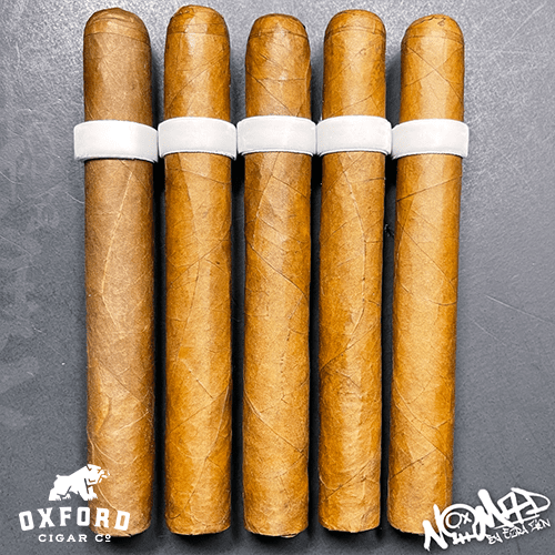 Ezra Zion Powdered Sugar Donut L.e. Ezra Zion Powdered Sugar Donut L.E. - Image 2