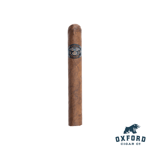 Warped Eagles Decent Warped Eagles Decent - Image 3