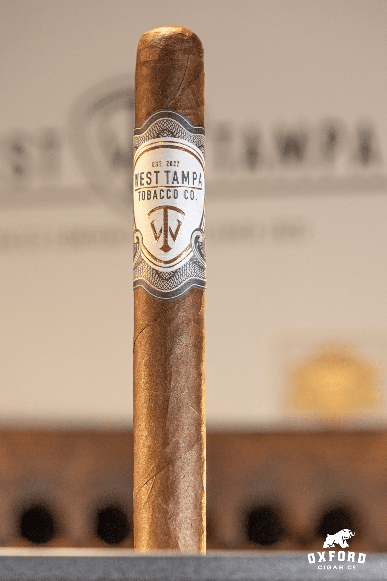 West Tampa White West Tampa White - Image 2