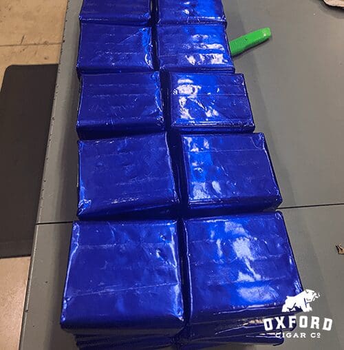 Warped El Oso Unreleased Warped El Oso Unreleased