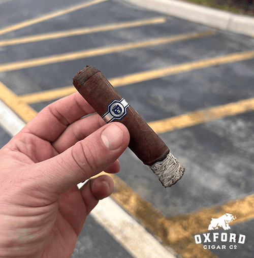 Warped El Oso Unreleased Warped El Oso Unreleased - Image 2