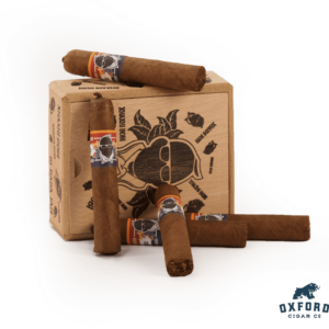 Xhaxhi Bobi Baba Jan Xhaxhi Bobi Perla Corojo Black Baba Jan Open Box