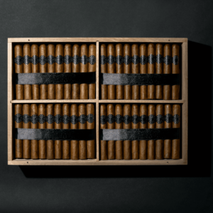 Warped Upper Realm Warped Upper Realm Open Box BG