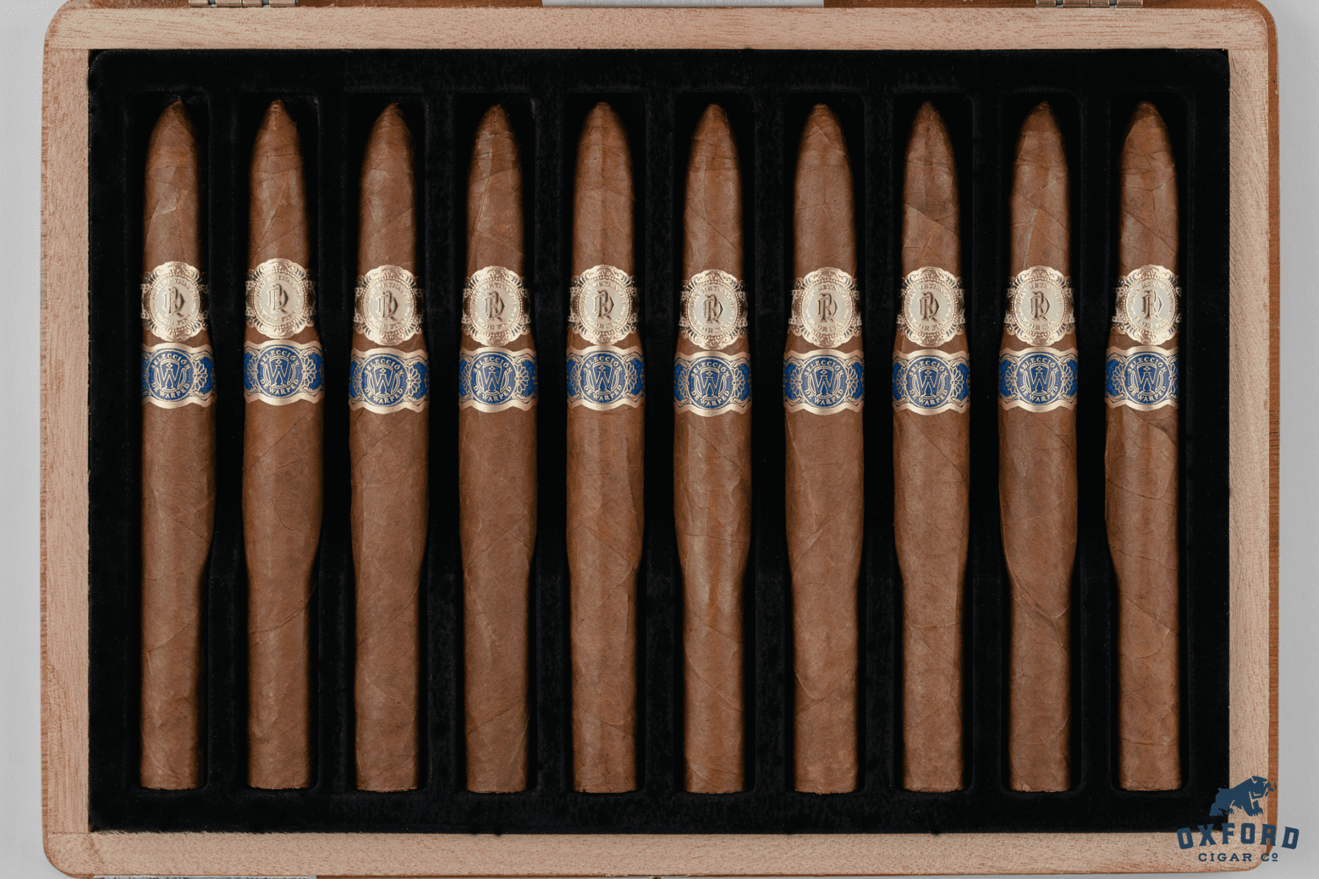 Warped Don Reynaldo 70Th Warped Don Reynaldo 70th - Image 3