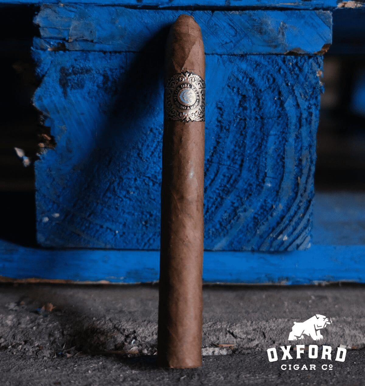 Warped Sky Moon Warped Sky Moon - Image 4