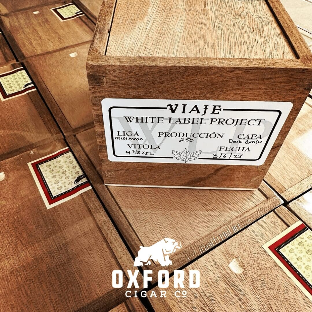 Viaje Halloween Preferred Retailer Sampler Viaje Halloween Preferred Retailer Sampler - Image 4