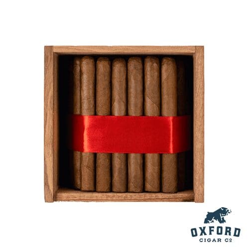 Warped Lirio Rojo 2023 Warped Lirio Rojo 2023 - Image 3