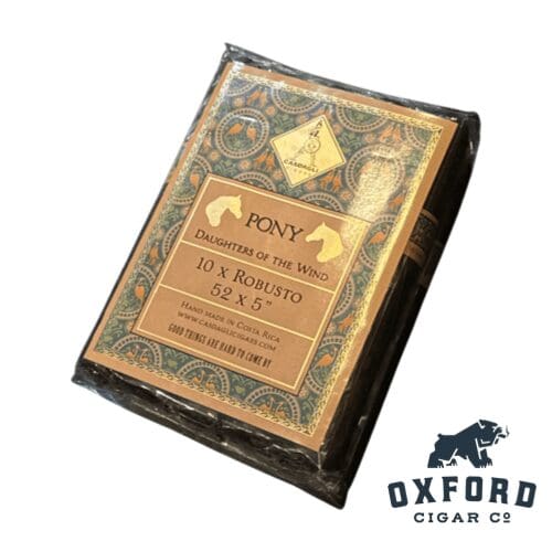 Casdagli Daughters Of The Wind The Pony Casdagli Daughters of the Wind The Pony