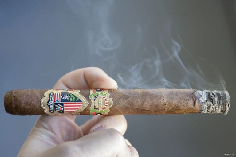 The American All-Star The American All Star 2 768x511 0v1LQ2