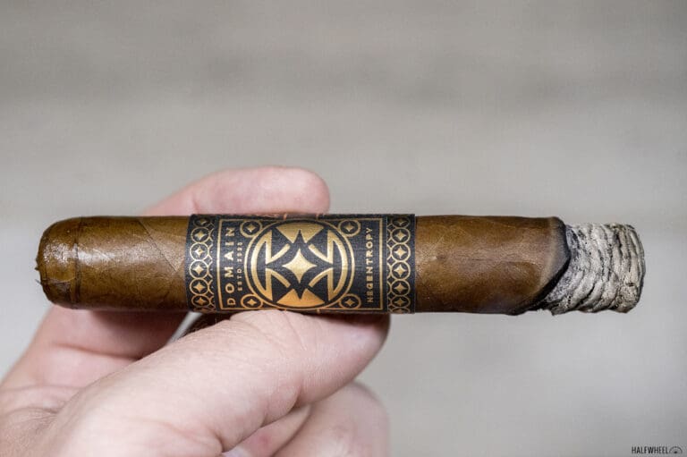 Domain Negentropy Robusto Extra Domain Negentropy Robusto Extra 1 768x511