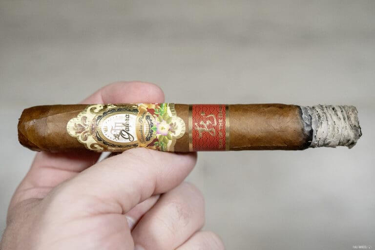 La Galera Year Of The Dragon La Galera Year of the Dragon 2 768x512 8uVZZJ