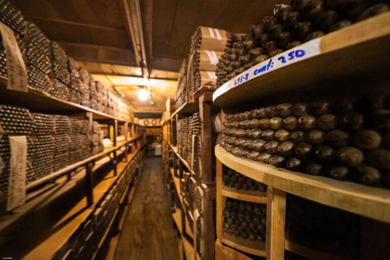 A Visit To Tabacalera A. Fuente: Aging Rooms Tabacalera A Fuente y Cia Hemingway Curve 1 768x512 ROhM8h