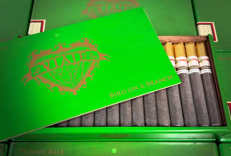 Viaje Releasing Private Bale Bird On A Branch And Furiosa Imperator Next Week Viaje Private Bale Bird on a Branch feature 768x520 RAbTmE
