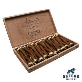 Box of Caldwell Crafted and Curated Antoinette - Medium Bodied Dominican Cigar