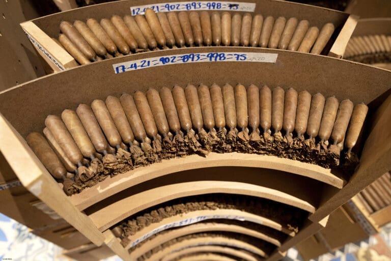 Report: Cigar Imports Keep Pace With 2023 Through First Five Months Tabacalera A Fuente y Cia LBMF Aging 768x512 2dK7oW